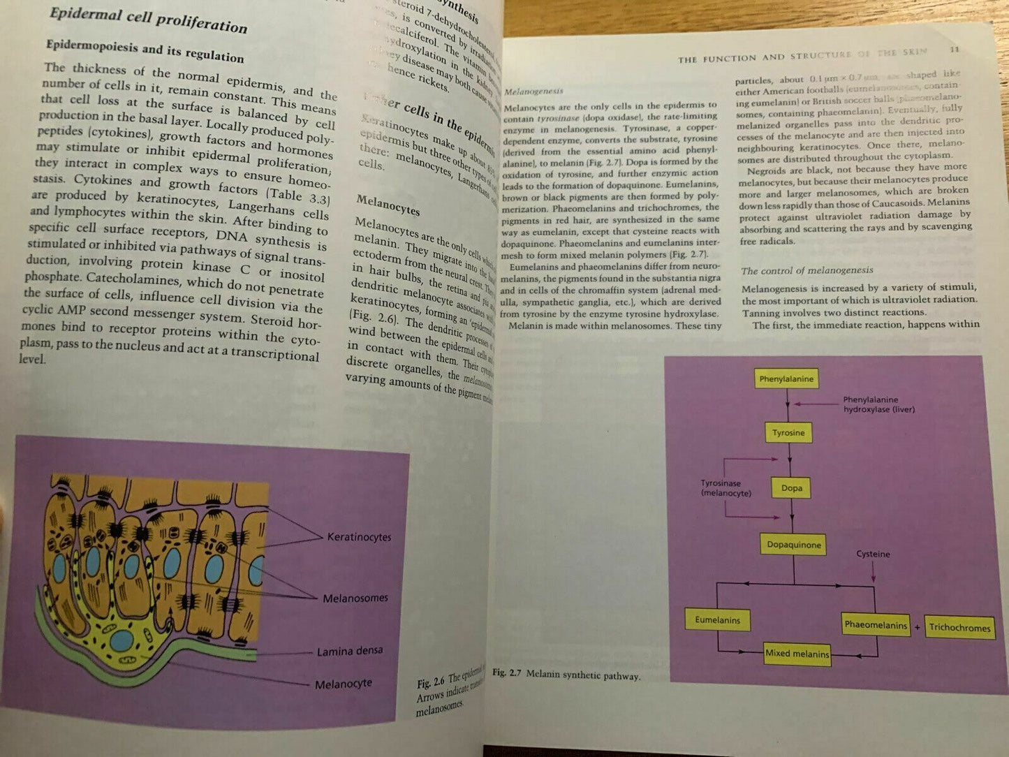 Clinical Dermatology by John Hunter, J. Savin (Paperback, 1994)