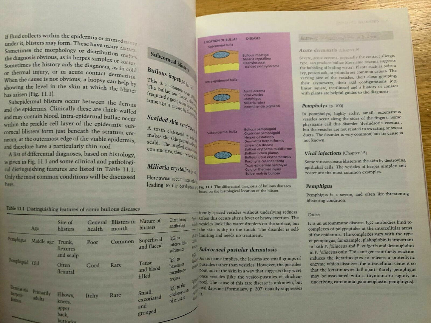 Clinical Dermatology by John Hunter, J. Savin (Paperback, 1994)