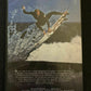 Rip Curl Rubber Soul 2 DVD Surfing Documentary