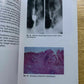 Gastroenterology And Liver Disease - Colour Aids by G. Holdstock, R. Wright