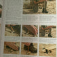 Ultimate Survival By Anthonio Akkermans,Bill Mattos,Bob Morrison,Harry Cook,Hel