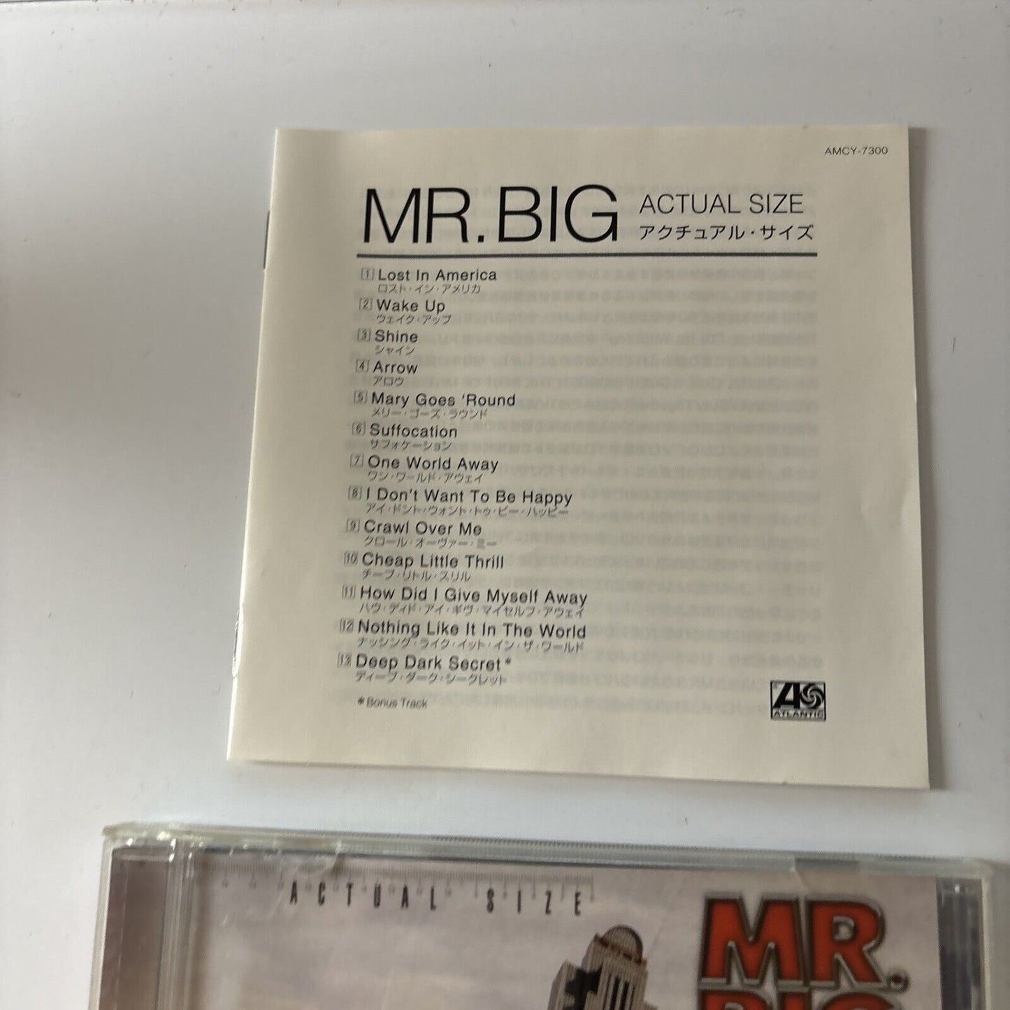 Mr Big - Actual Size (CD, 2001) Japan Amcy-7300