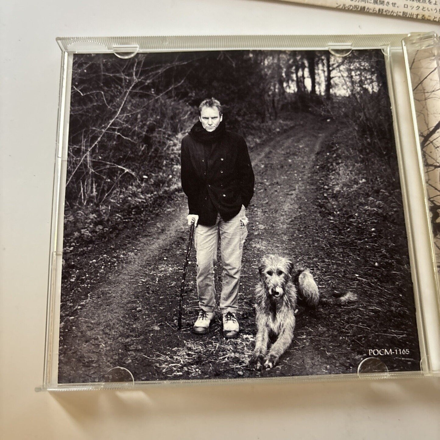 Sting - Mercury Falling (CD, 1996) Japan Pocm-1165