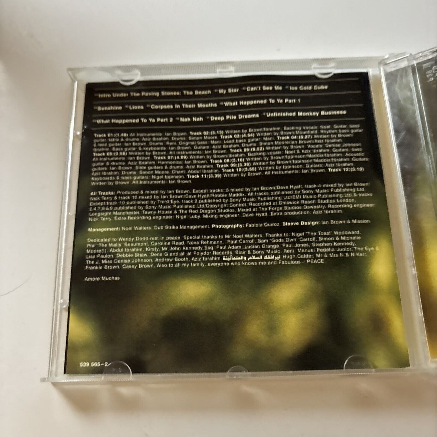 Ian Brown - Unfinished Monkey Business (CD, 1999)