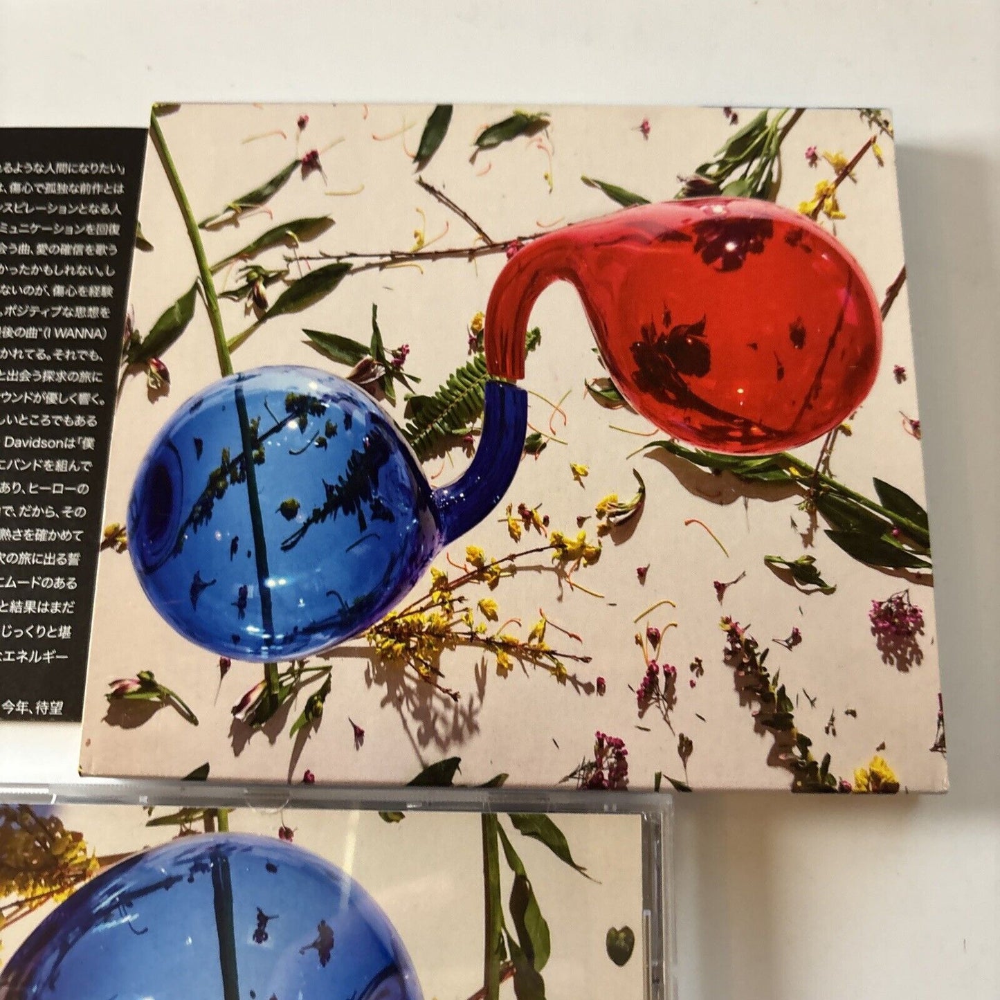 Dirty Projectors - Lamp Lit Prose [Bonus Japan Track] (CD, 2018) Japan WIGCD392J