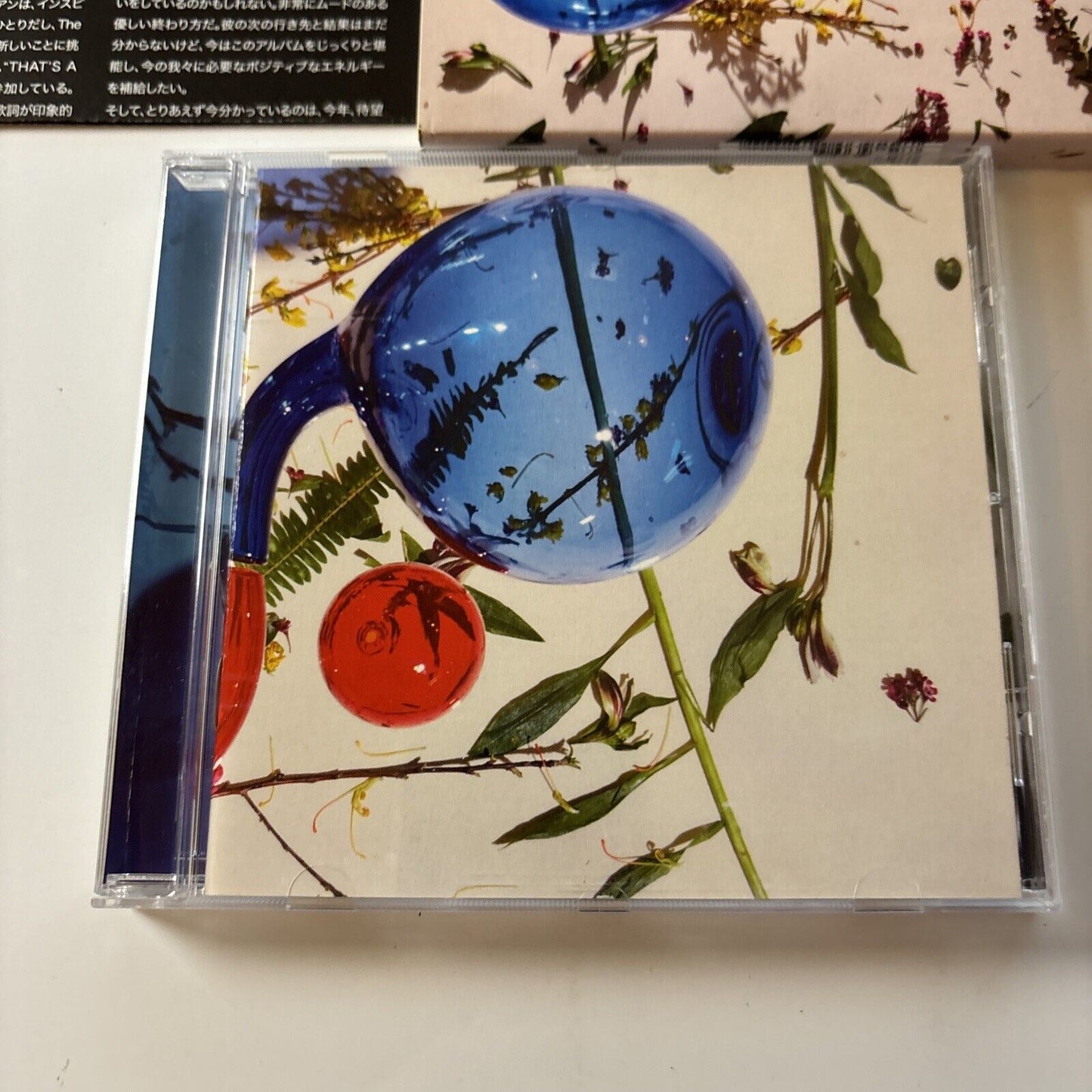 Dirty Projectors - Lamp Lit Prose [Bonus Japan Track] (CD, 2018) Japan WIGCD392J