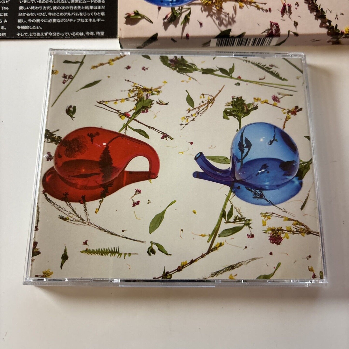 Dirty Projectors - Lamp Lit Prose [Bonus Japan Track] (CD, 2018) Japan WIGCD392J