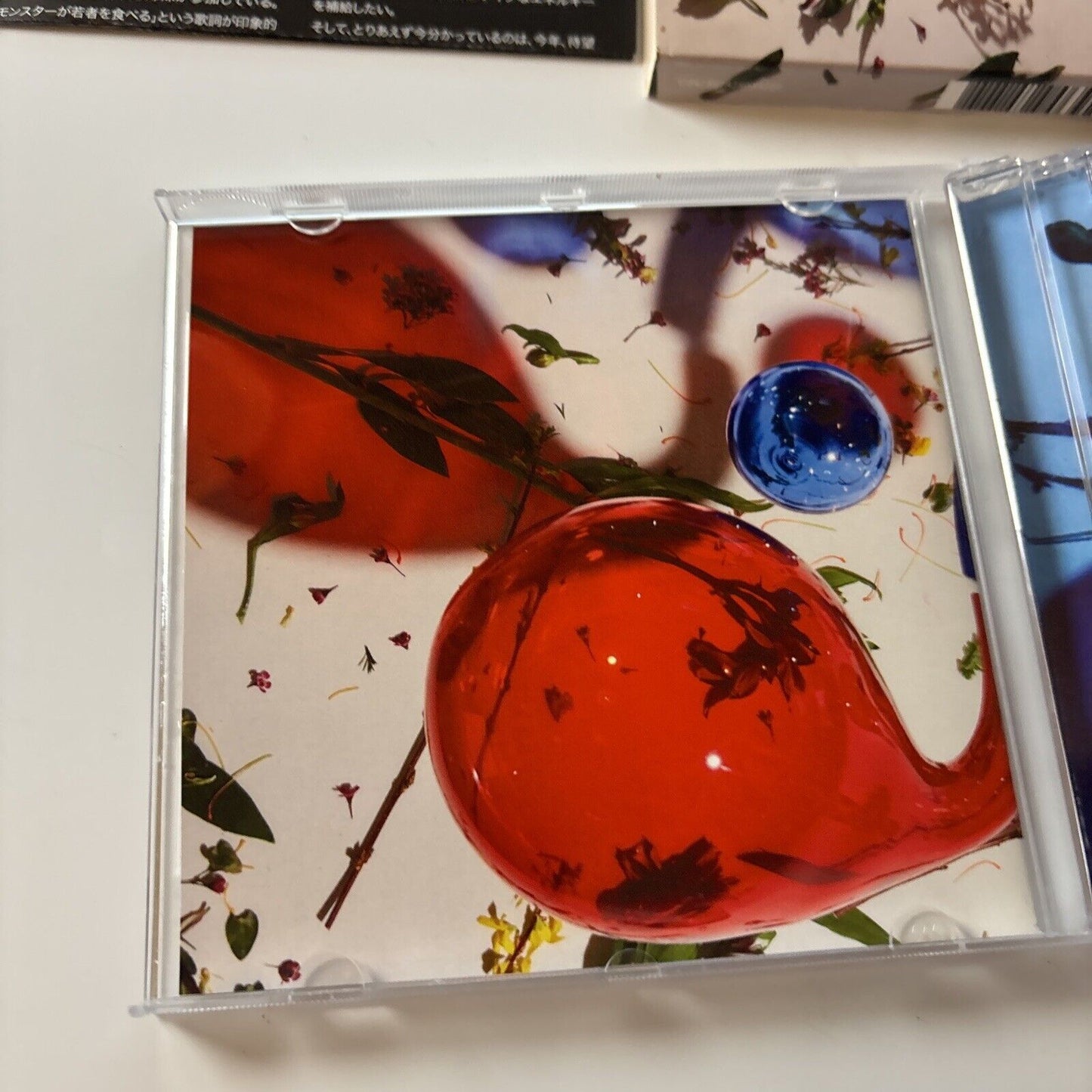 Dirty Projectors - Lamp Lit Prose [Bonus Japan Track] (CD, 2018) Japan WIGCD392J