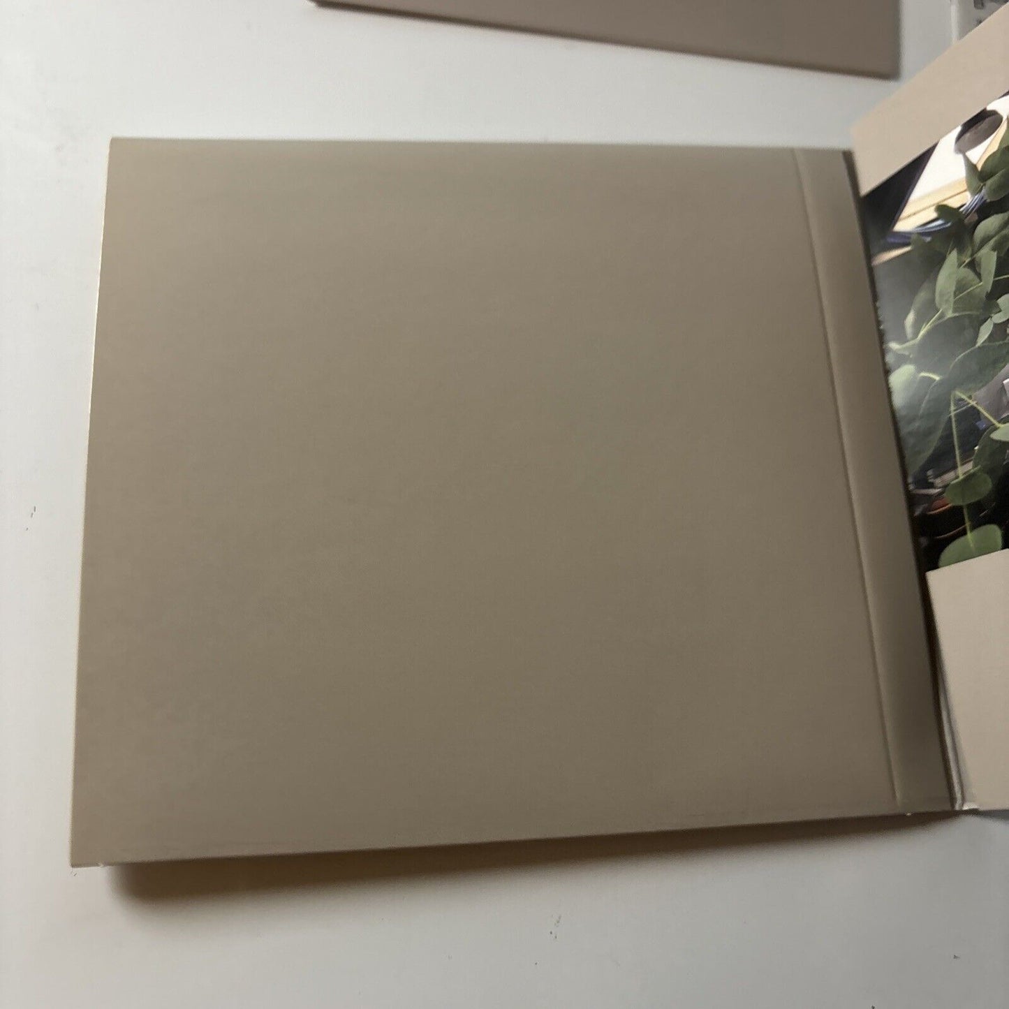 Dirty Projectors - 5 EPs [Bonus Japan Tracks] (CD, 2020) Japan brc-661