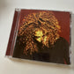 Janet - The Velvet Rope (CD, 1997) USA & 6477118
