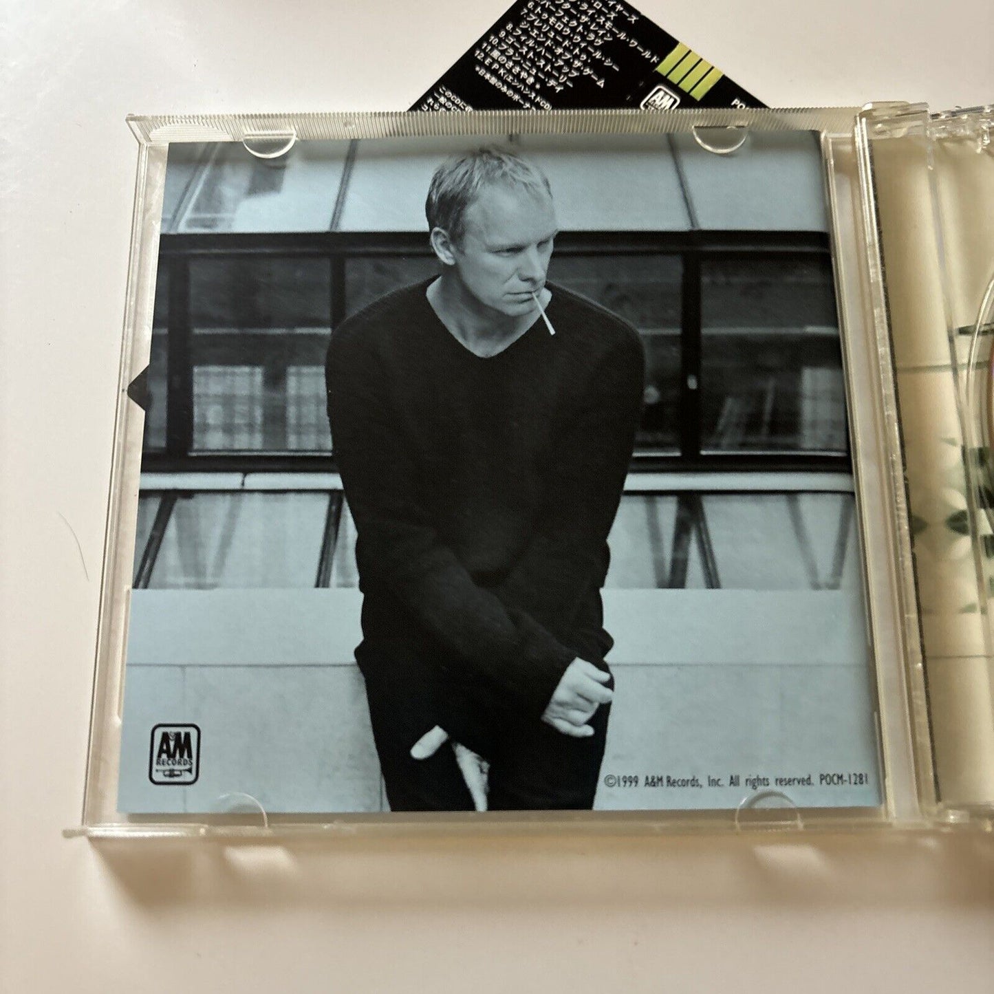 Sting - Brand New Day (CD, 1999) Japan POCM-1281 A&M Records Obi