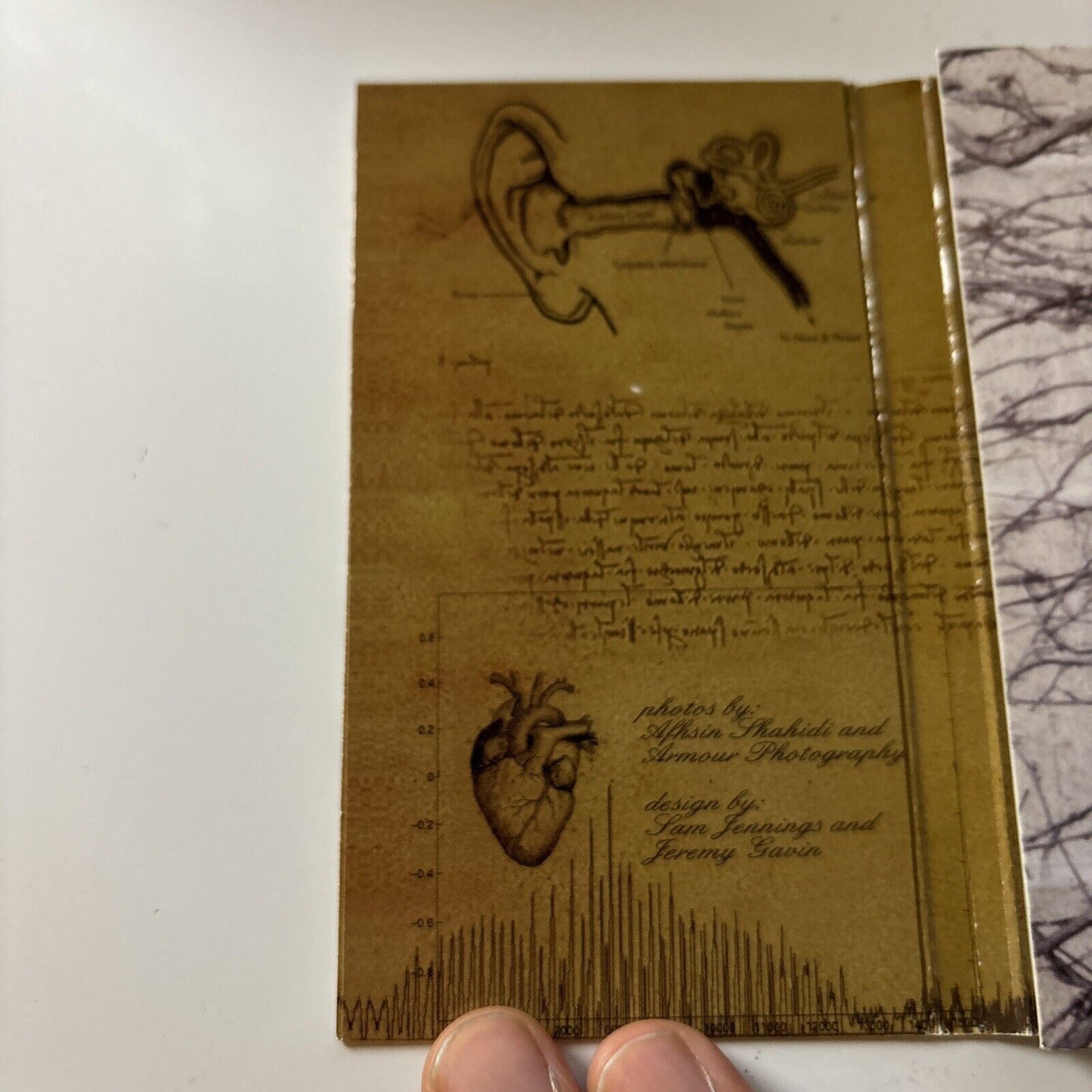 Prince - Musicology (CD, 2004) Japan sicp-590 NPG Records