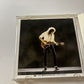 Brian May - Back To The Light (CD, 1992) Japan EMI tocp-7235