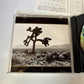U2 - The Joshua Tree (CD, 1989) Japan p24d-10053 Island Records