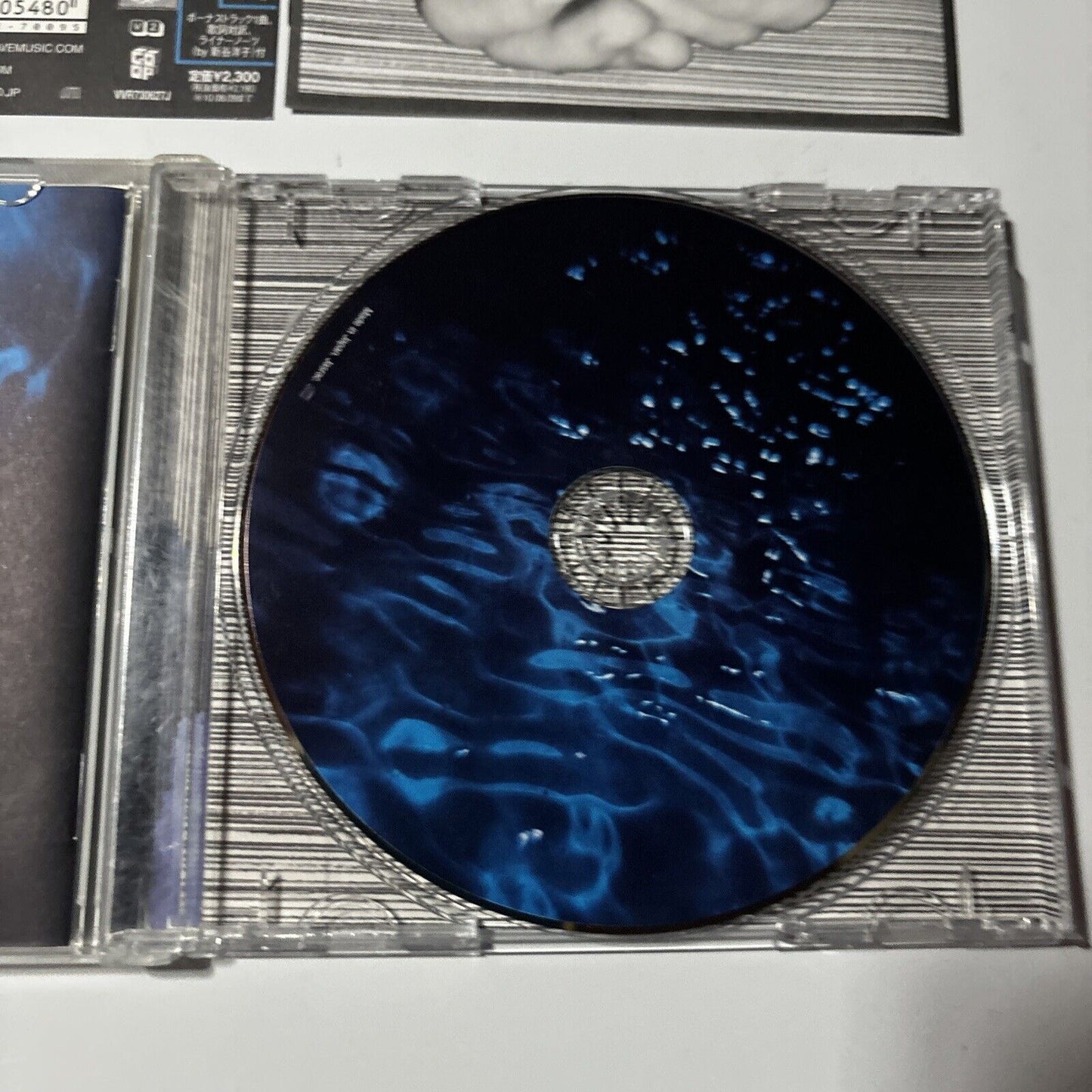 Blood Red Shoes - Fire Like This [Japan Bonus Track] (CD, 2010) VVR730627J Obi