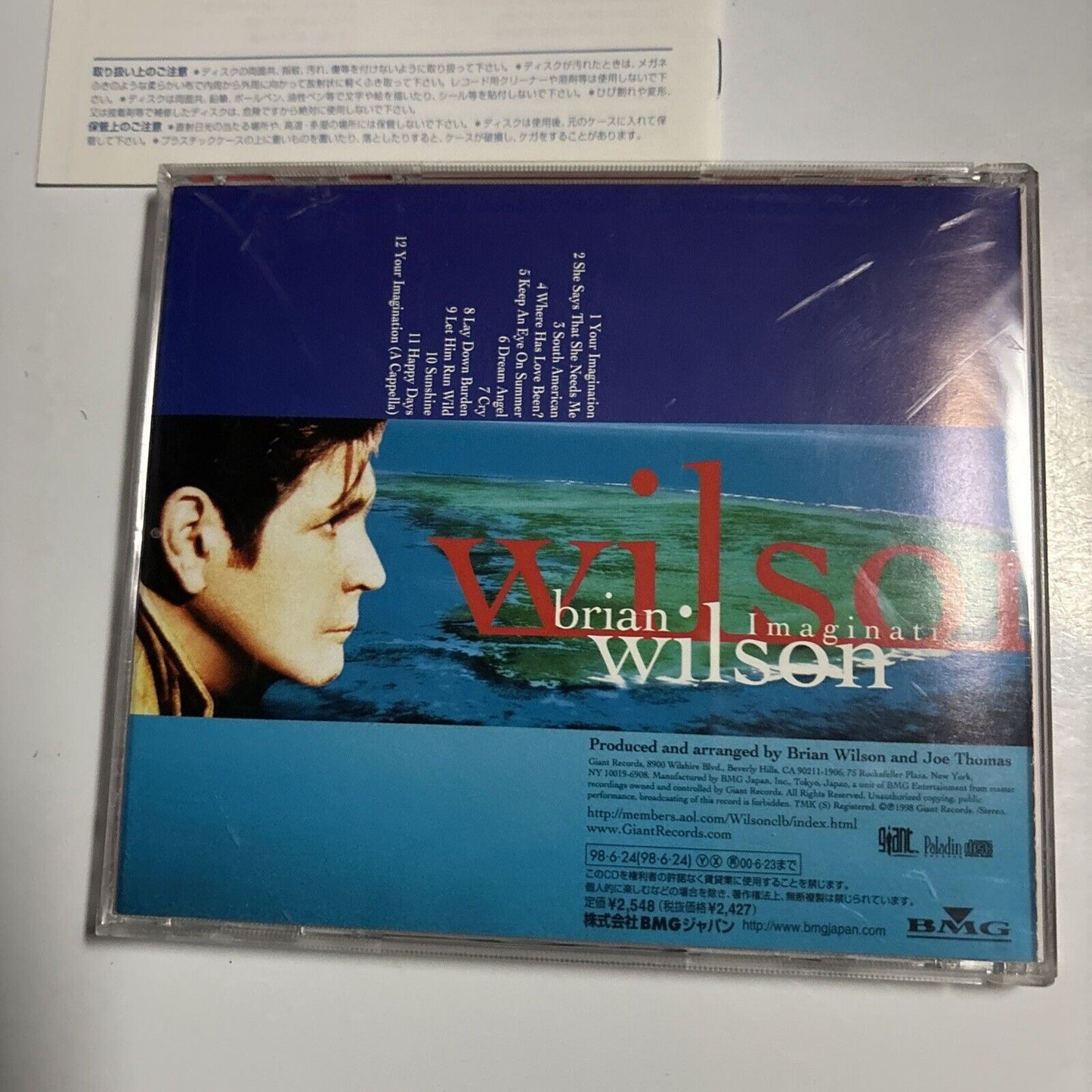 Brian Wilson - Imagination (CD, 1998) Japan bvcg-706 Giant Records