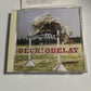 Beck - Odelay (CD, 1996) Japan mvcg-207 Geffen Records