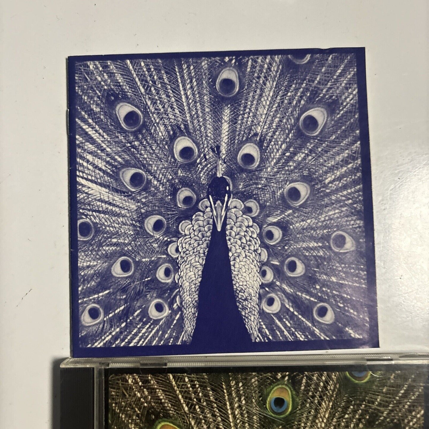 The Bluetones - Expecting To Fly [Japan Bonus Track] (CD, 1996) Japan POCM-1155