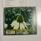 Speech - Spiritual People (CD, 2000) Japan tocp-65370