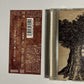 The Cherry Cokes - The Answer (CD, 2018) Japan tkca-74663 Obi