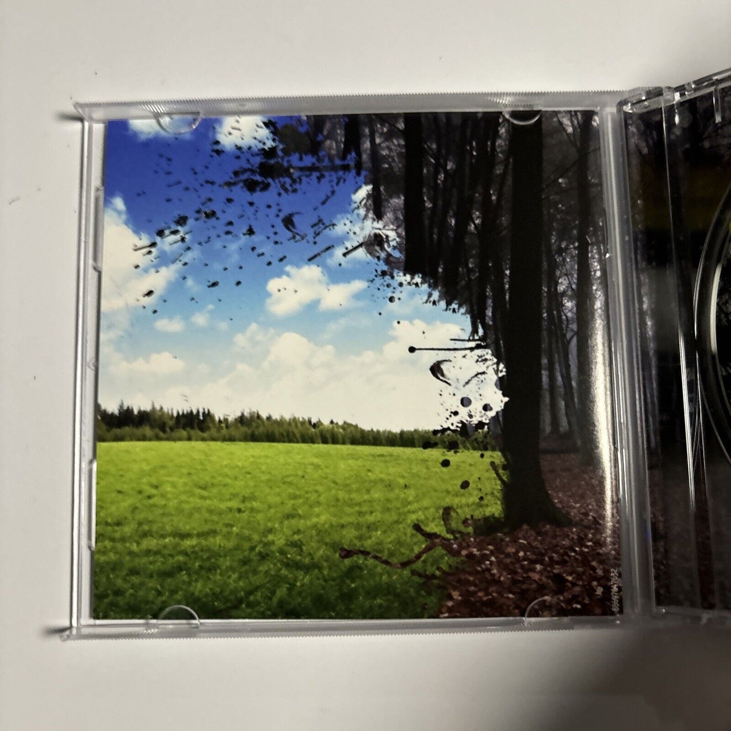 The Offspring - Days Go By (CD, 2012) Columbia