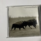 U2 - The Best Of 1990-2000 (CD, 2002) Interscope Records