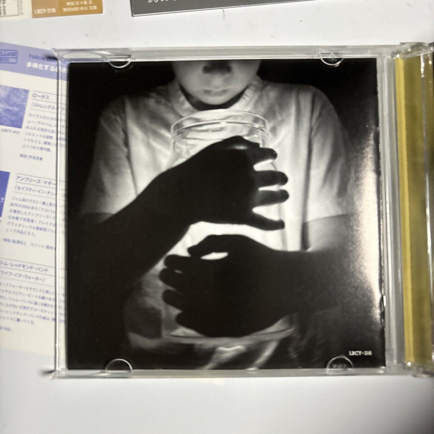 Kelly Joe Phelps - Tunesmith Retrofit (CD, 2006) Japan lbcy-316 Obi
