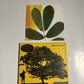 Jack Johnson - In Between Dreams (CD, 2005) Brushfire Records Digipak