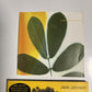 Jack Johnson - In Between Dreams (CD, 2005) Brushfire Records Digipak
