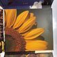 Stevie Wonder Natural Wonder (Stevie Wonder Live In Concert) (CD, 2000)  Digipak