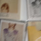 Taylor Swift – 1989 (2014, Slipcase, CD) pocs-24008 Japan Photos, Slipcase