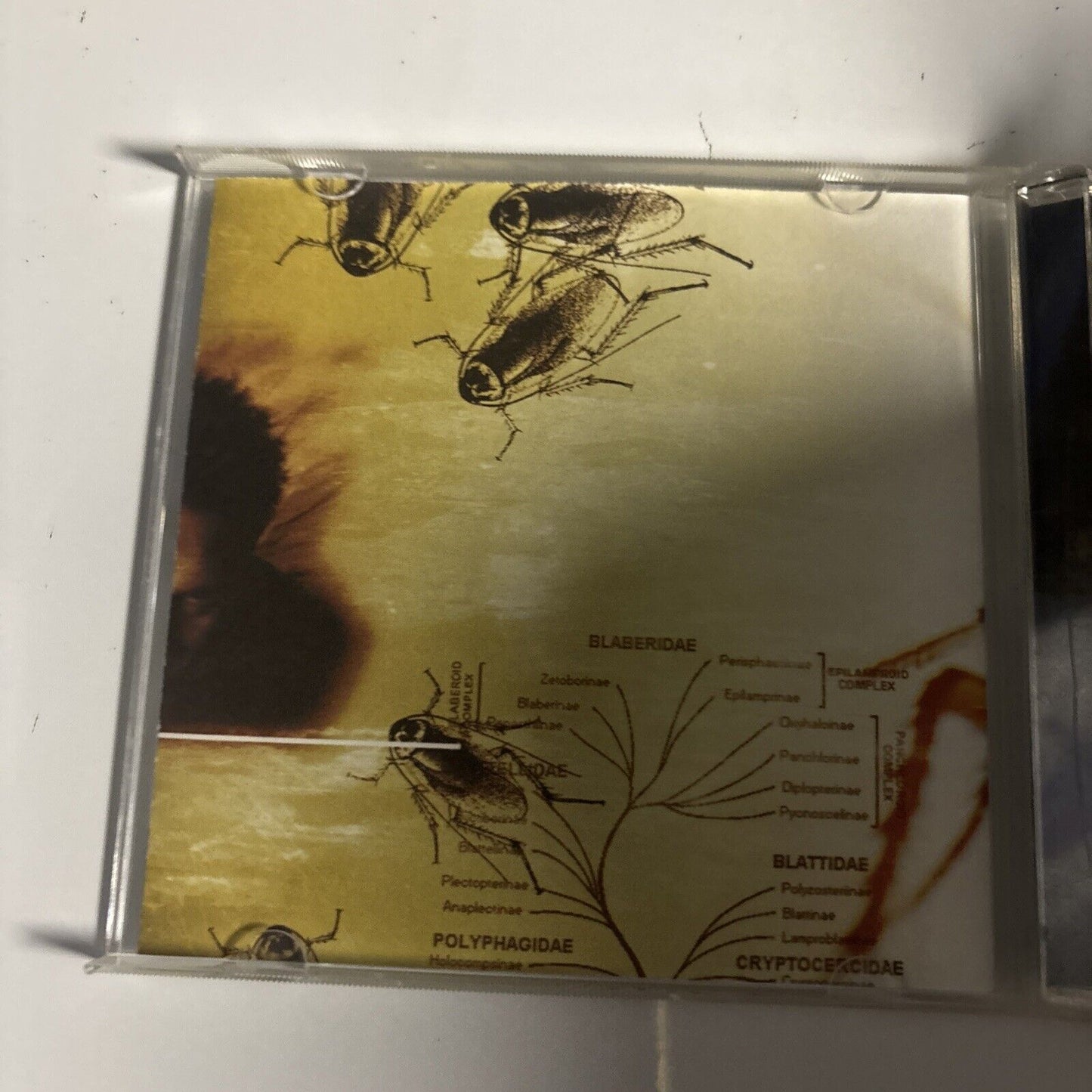 Papa Roach – Infest (CD, 2000)