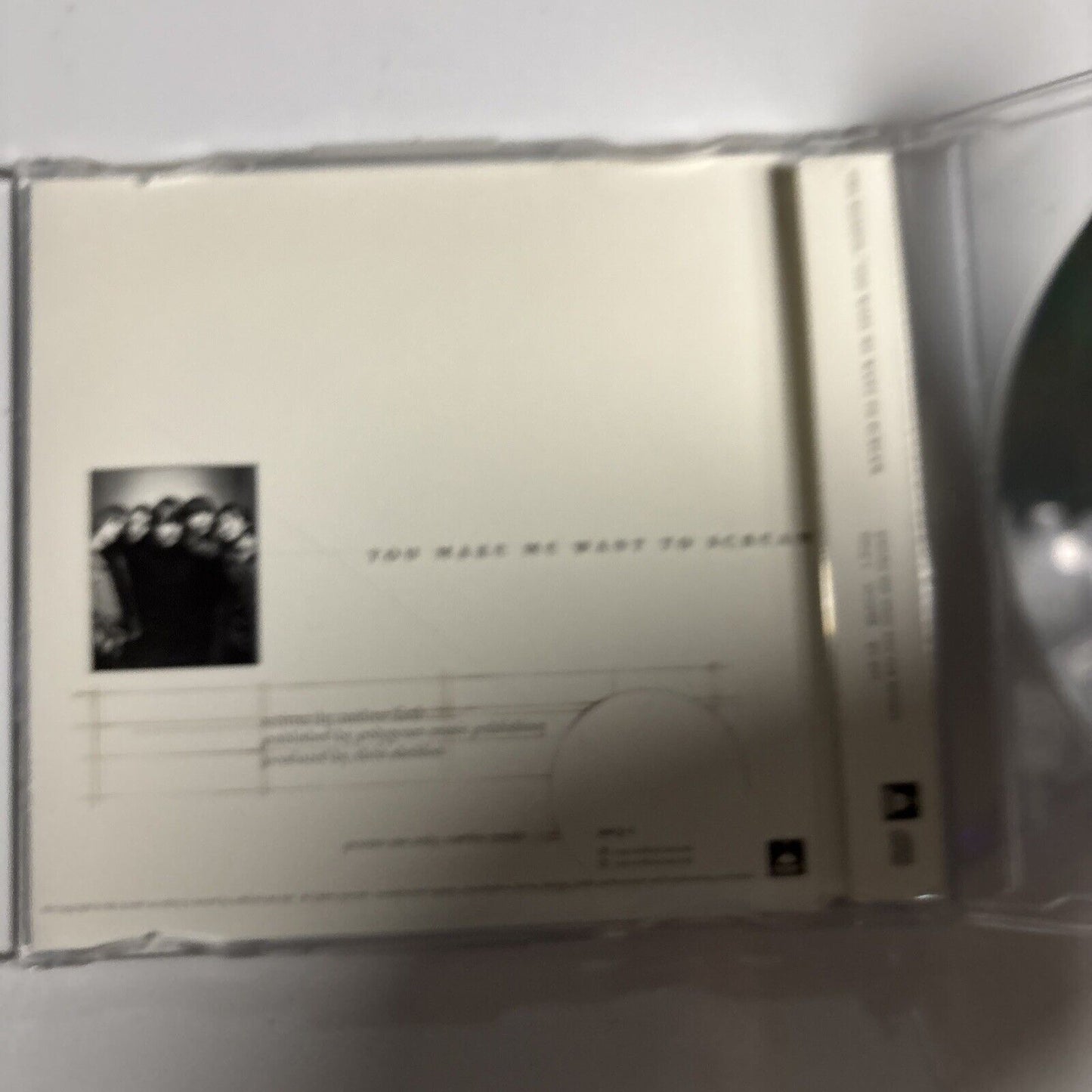 The Dandys – You Make Me Want To Scream (CD, 1998) dscj-1  promo