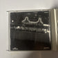 Whitney Houston – I'm Your Baby Tonight (CD, 1990) ARCD-8616