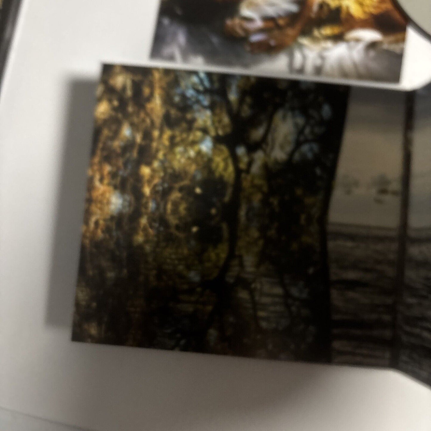 Corinne Bailey Rae – The Sea (CD, 2010)