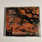 Landmarq – Solitary Witness (CD, 1994) xrcn-1191 Japan