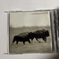 U2 – The Best Of 1990-2000 & B-Sides (CD, 2002)
