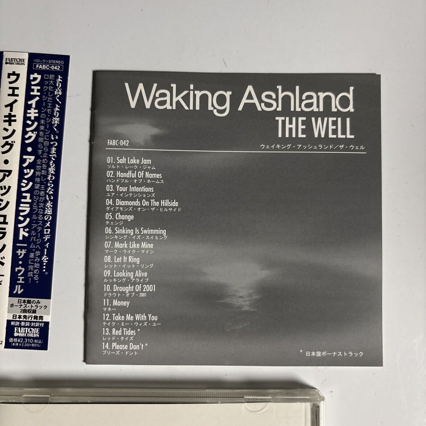 Waking Ashland – The Well (CD, 2007) face-042 obi, Japan Bonus Track