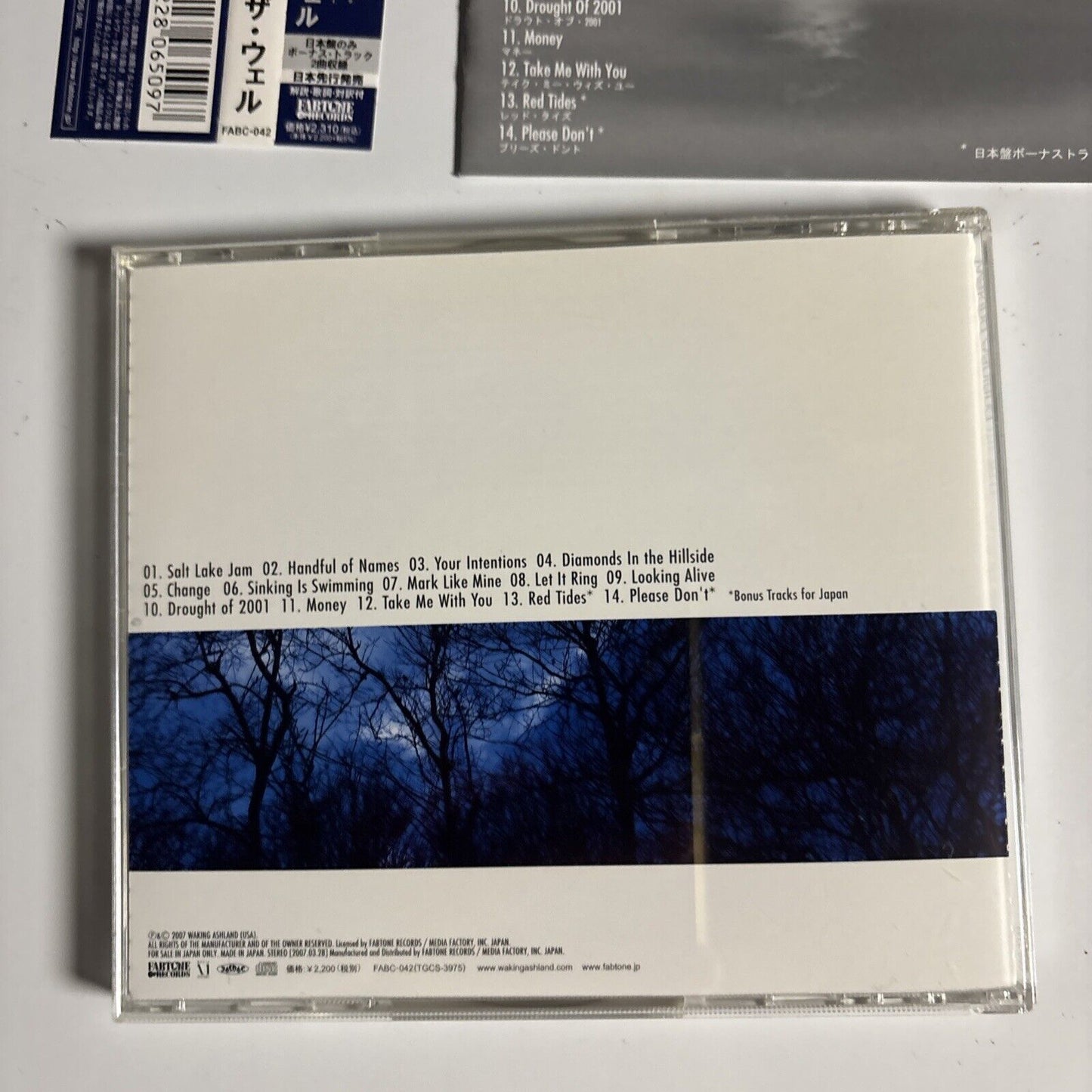 Waking Ashland – The Well (CD, 2007) face-042 obi, Japan Bonus Track