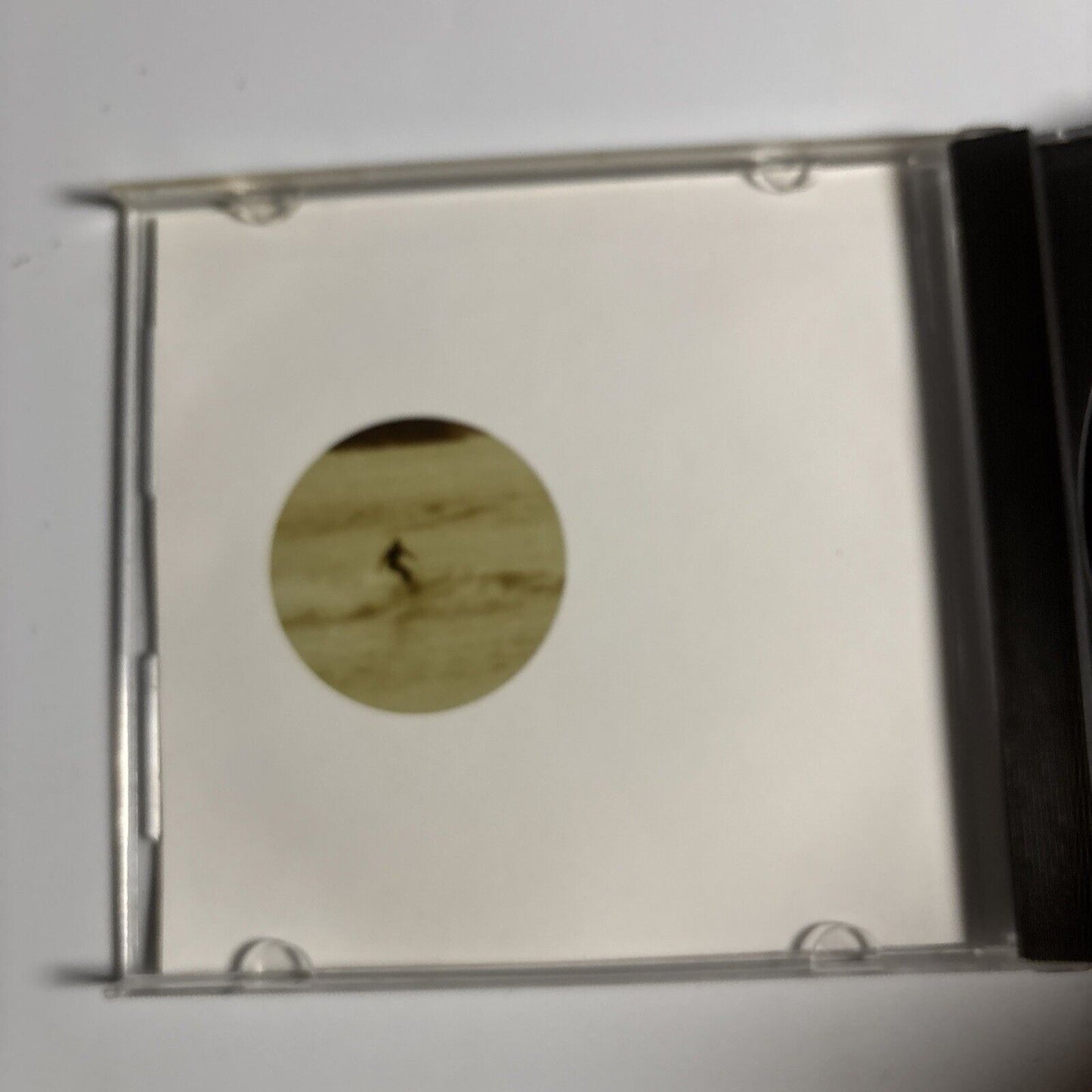 Polygon Window – Surfing On Sine Waves (CD, 1993)