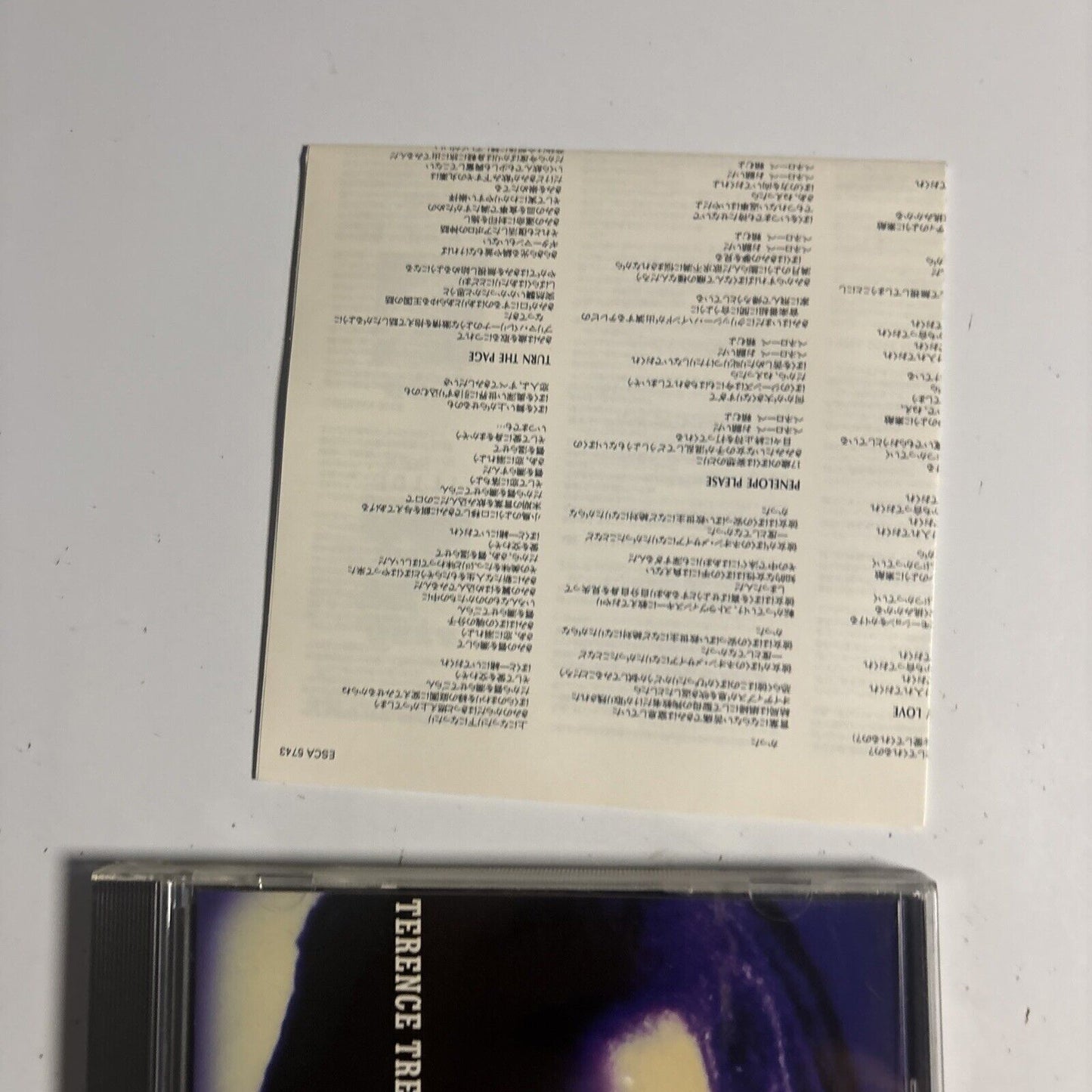 Terence Trent D'Arby's – Terence Trent D'Arby's Symphony Or Damn (CD 1993) Japan