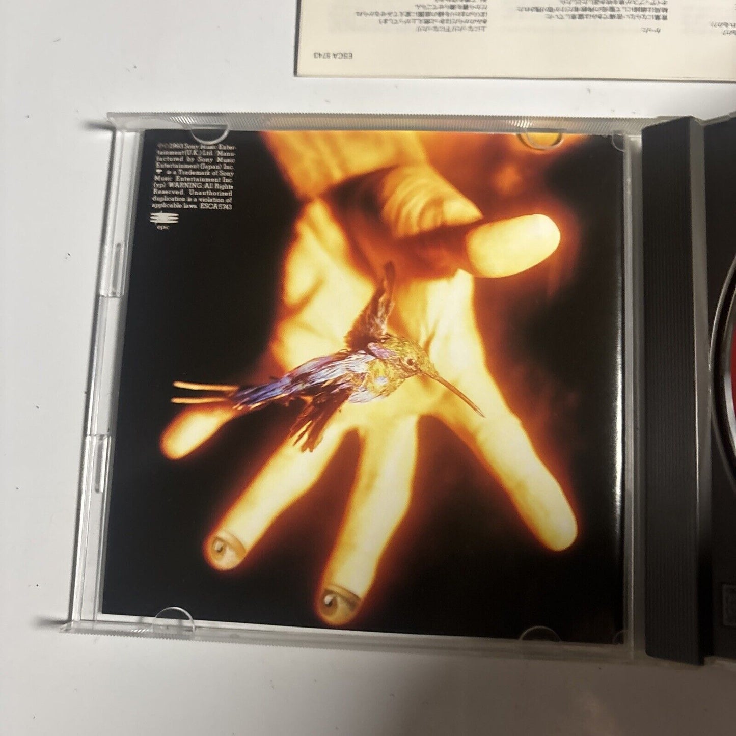 Terence Trent D'Arby's – Terence Trent D'Arby's Symphony Or Damn (CD 1993) Japan