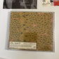 Death In Vegas – The Contino Sessions (CD, 1999) bvcp-21039 Japan obi