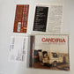 Candiria – What Doesn't Kill You... (CD, 2004) tfck-87381 Japan obi