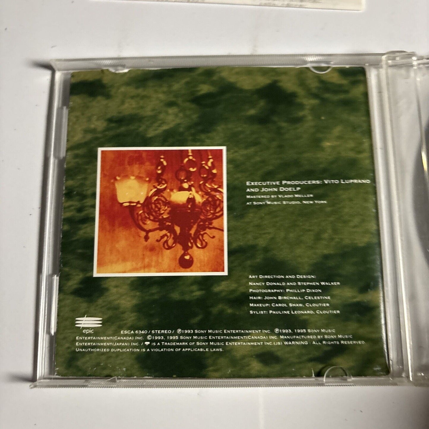 Celine Dion - The Colour Of My Love (CD 1995) esca-6340 Japan missing back cover