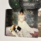 Norah Jones – The Fall (CD, 2009. 2-Disc)   Digipak