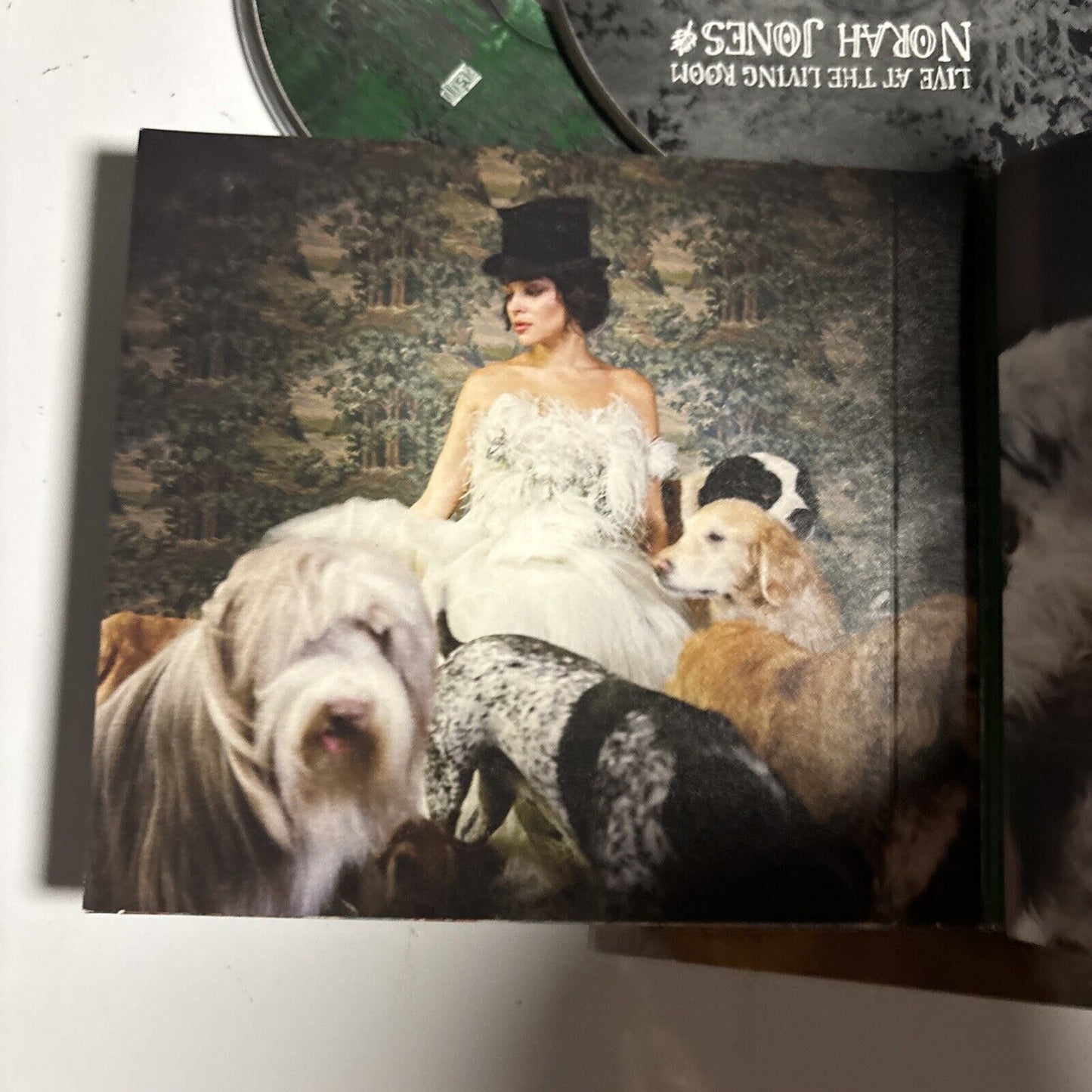 Norah Jones – The Fall (CD, 2009. 2-Disc)   Digipak