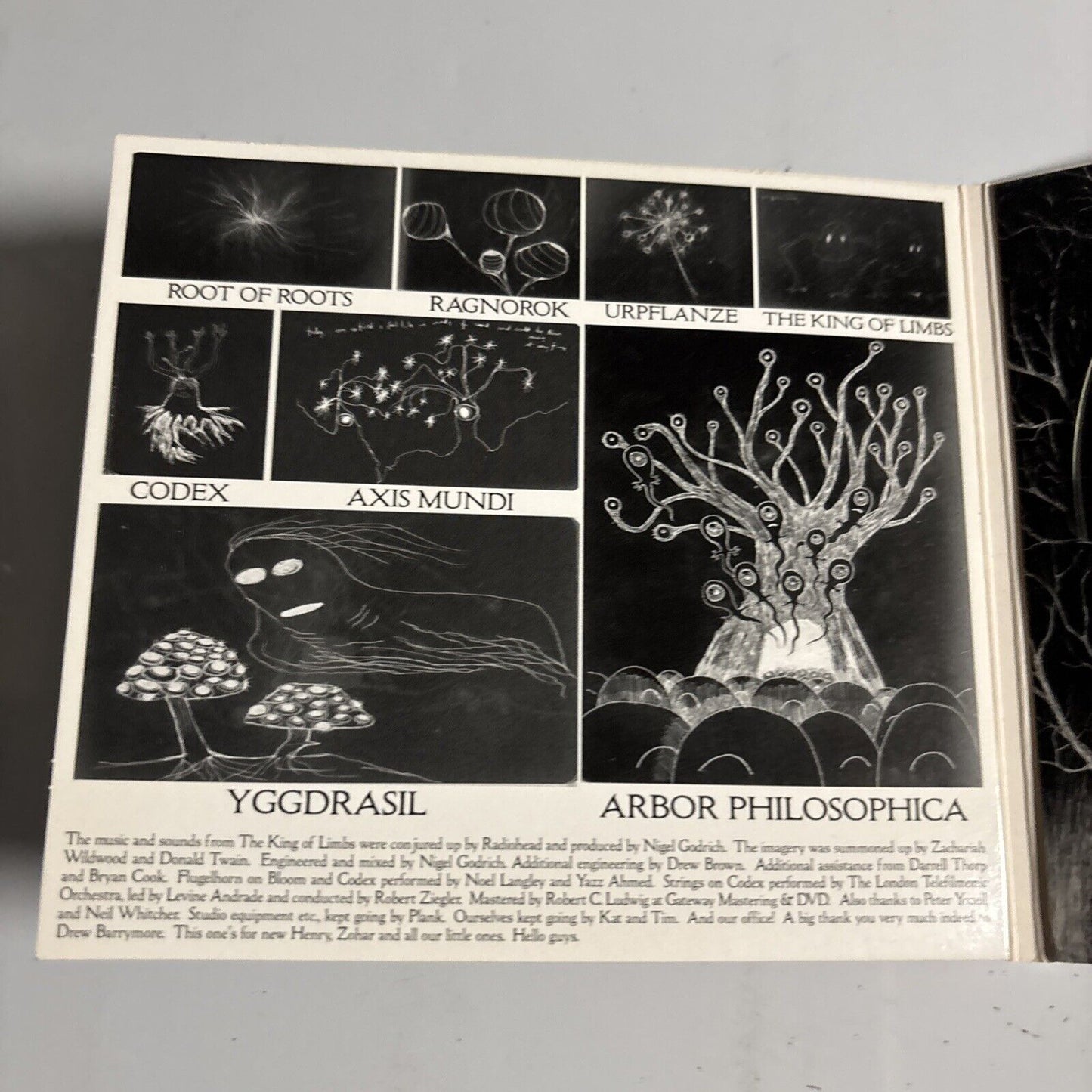Radiohead – The King Of Limbs (CD, 2011) TICK001CD