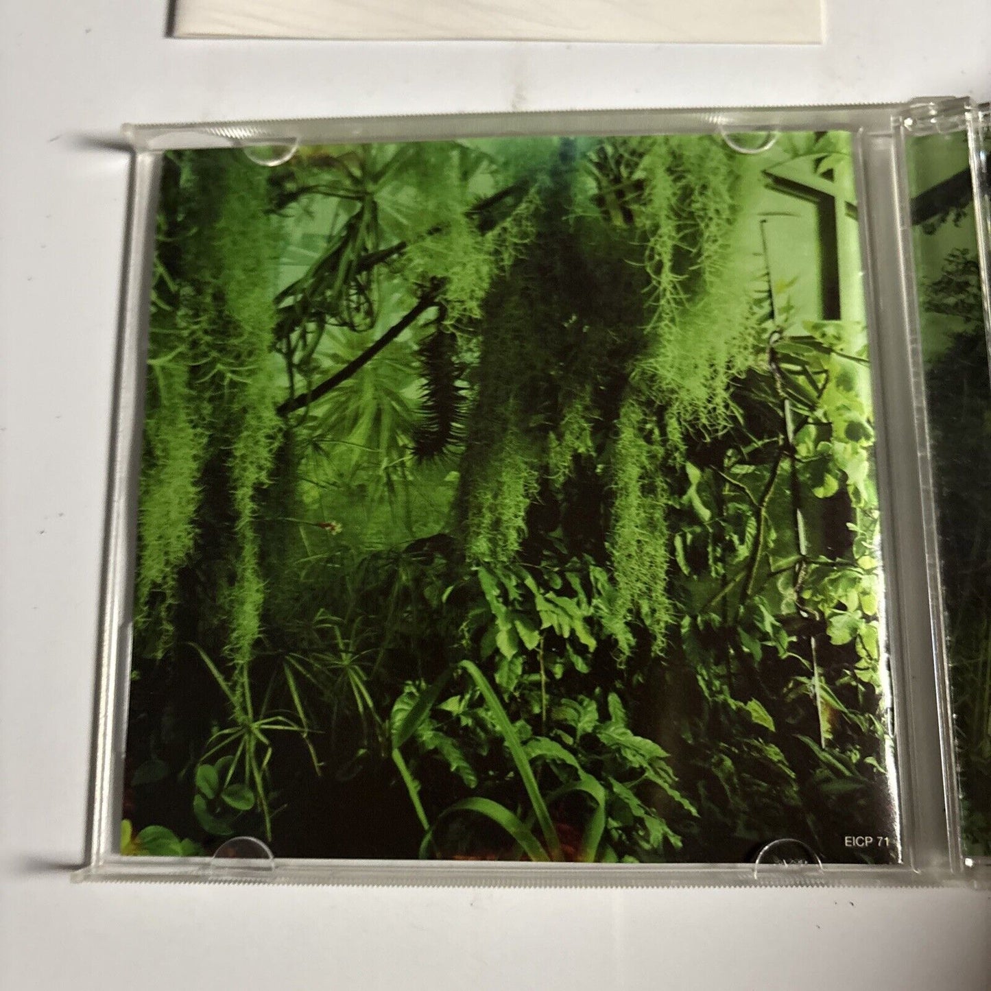 The Promise Ring – Wood / Water (CD, 2002) eicp-71 Japan