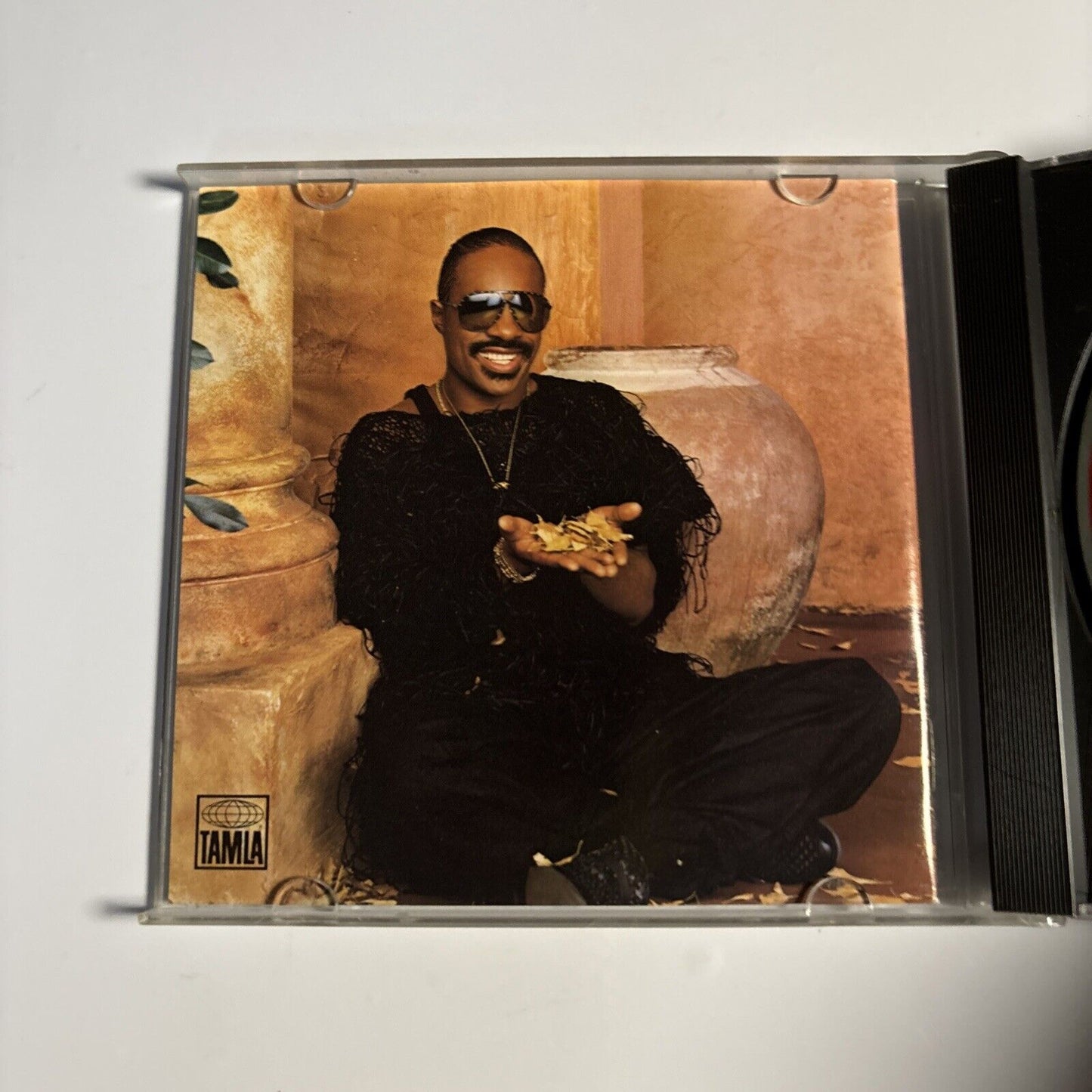Stevie Wonder – In Square Circle (CD, 1985) TCD06134TD